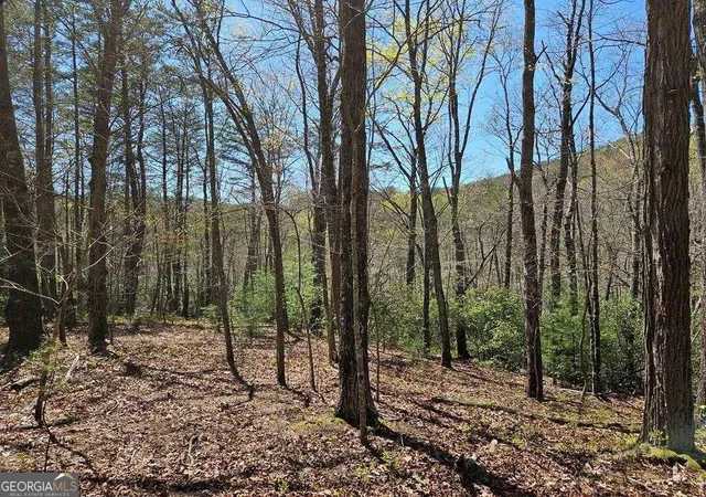 2nd image of 522 Deer Crest Rd, Blue Ridge, GA 30513 | MLS# 10287677