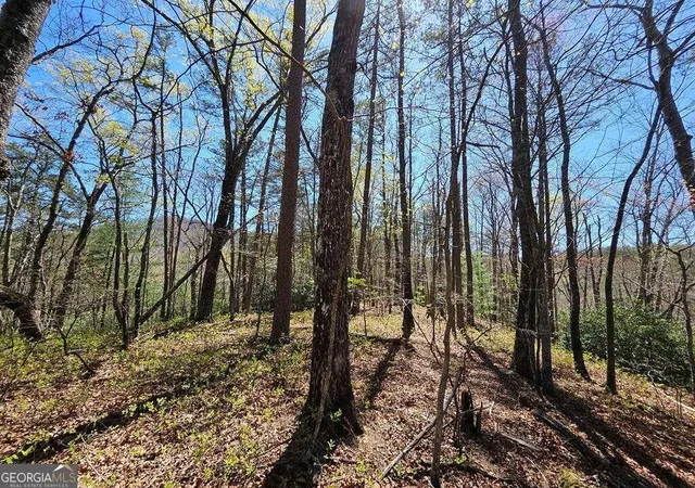 3rd image of 522 Deer Crest Rd, Blue Ridge, GA 30513 | MLS# 10287677