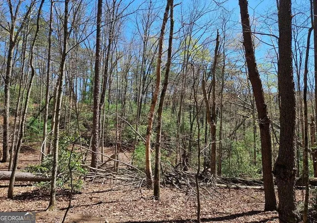 4th image of 522 Deer Crest Rd, Blue Ridge, GA 30513 | MLS# 10287677