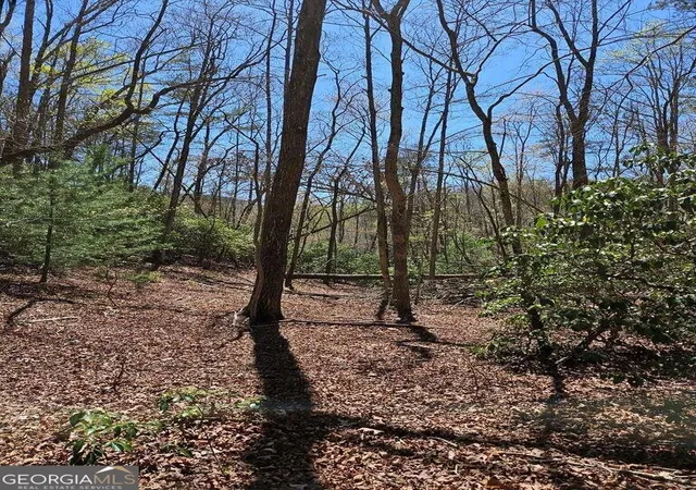 5th image of 522 Deer Crest Rd, Blue Ridge, GA 30513 | MLS# 10287677
