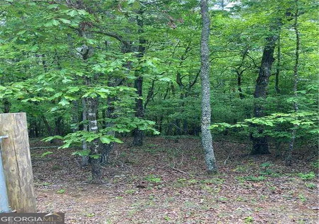 Photo 3 of Land for sale at 0 Crst View Dr, Dahlonega, GA 30533 | MLS# 10763412 | Listing updated on 2026-06-10