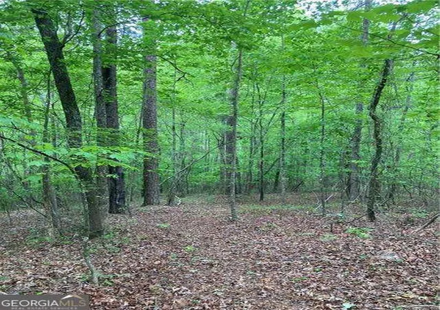 Photo 4 of Land for sale at 0 Crst View Dr, Dahlonega, GA 30533 | MLS# 10763412 | Listing updated on 2026-06-10