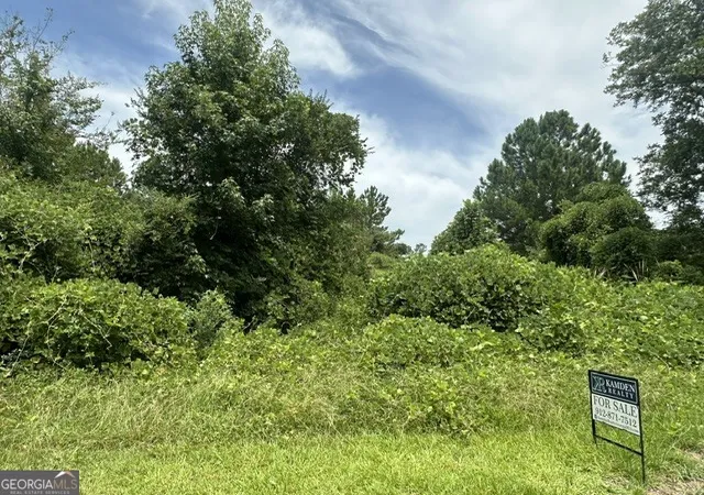 2nd image of 0 Cail St, Sylvania, GA 30467 | MLS# 10777369