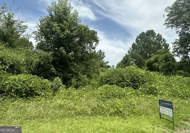3rd image of 0 Cail St, Sylvania, GA 30467 | MLS# 10777369