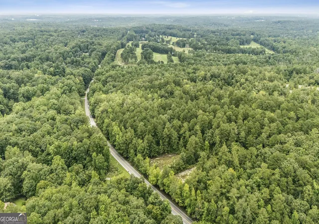 4th image of 6733 Hwy 155 N, Stockbridge, GA 30281 | MLS# 10822523