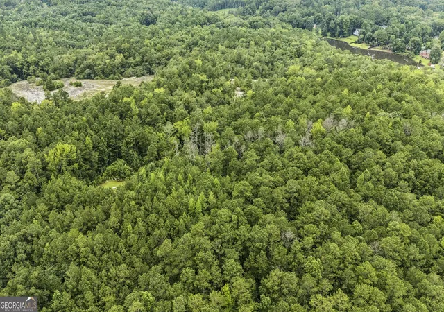 5th image of 6733 Hwy 155 N, Stockbridge, GA 30281 | MLS# 10822523