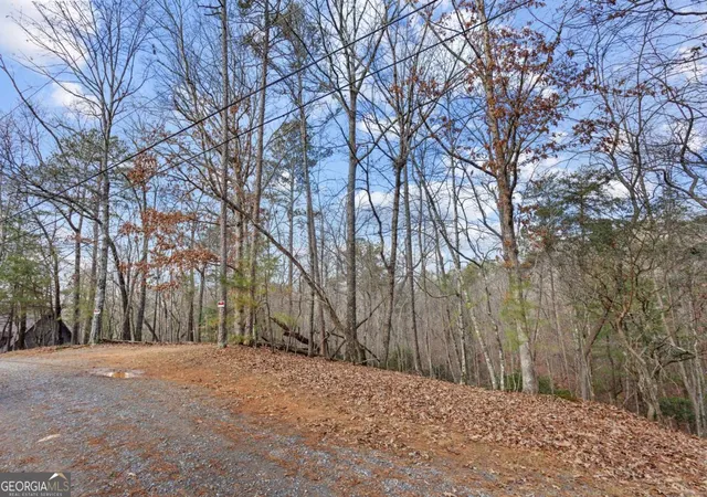 Photo 1 of Land for sale at 0 Omen Ct, Ellijay, GA 30540 | MLS# 10659188 | Listing updated on 2026-10-30