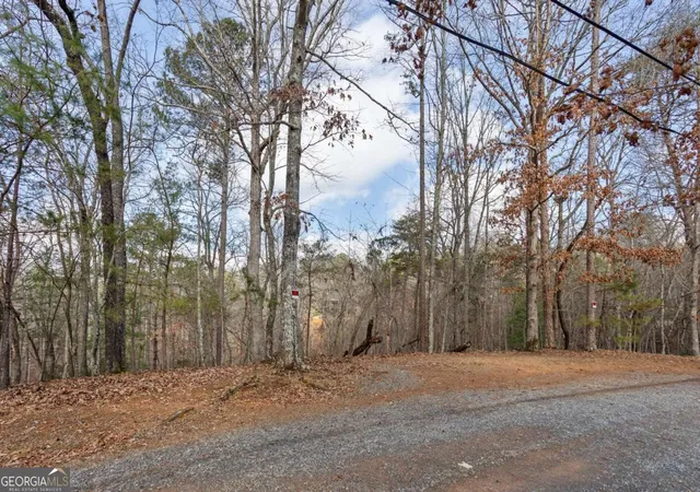 Photo 2 of Land for sale at 0 Omen Ct, Ellijay, GA 30540 | MLS# 10659188 | Listing updated on 2026-10-30
