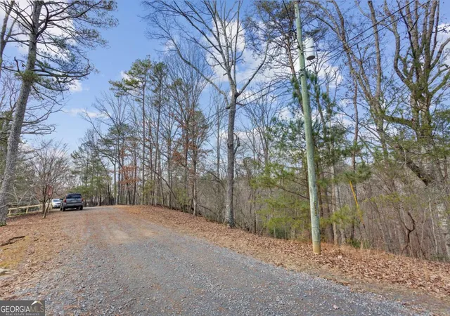 Photo 3 of Land for sale at 0 Omen Ct, Ellijay, GA 30540 | MLS# 10659188 | Listing updated on 2026-10-30