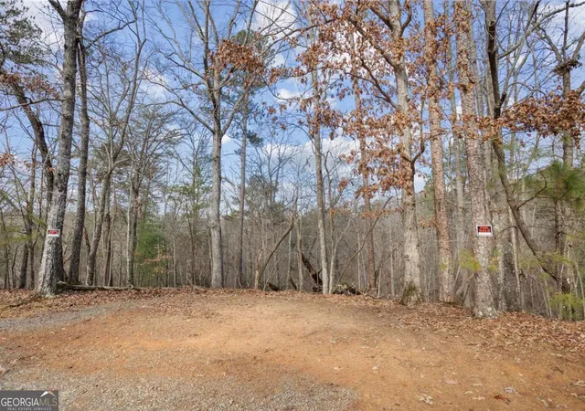 Photo 4 of Land for sale at 0 Omen Ct, Ellijay, GA 30540 | MLS# 10659188 | Listing updated on 2026-10-30