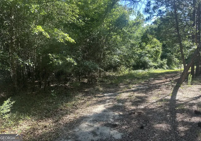 17th image of 355 Dorsey Clark Rd, Sylvania, GA 30467 | MLS# 10782038