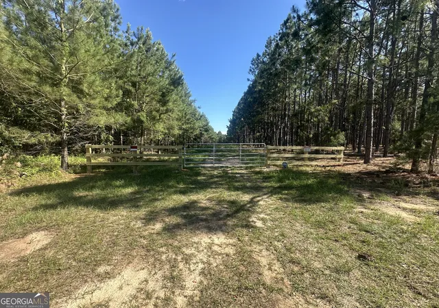 1st image of 355 Dorsey Clark Rd, Sylvania, GA 30467 | MLS# 10782038