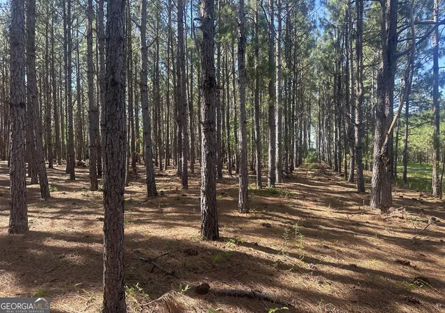 2nd image of 355 Dorsey Clark Rd, Sylvania, GA 30467 | MLS# 10782038