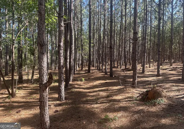 3rd image of 355 Dorsey Clark Rd, Sylvania, GA 30467 | MLS# 10782038