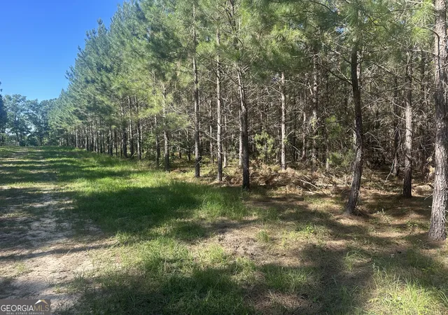 4th image of 355 Dorsey Clark Rd, Sylvania, GA 30467 | MLS# 10782038