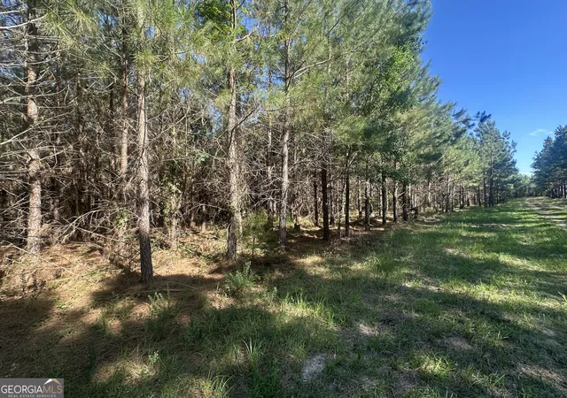5th image of 355 Dorsey Clark Rd, Sylvania, GA 30467 | MLS# 10782038
