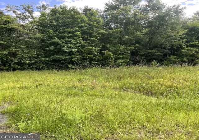 2nd image of 0 Oglethorpe East Hwy, Midway, GA 31320 | MLS# 10592168
