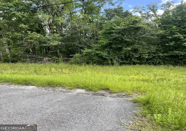 3rd image of 0 Oglethorpe East Hwy, Midway, GA 31320 | MLS# 10592168