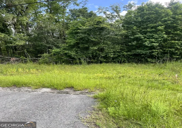 4th image of 0 Oglethorpe East Hwy, Midway, GA 31320 | MLS# 10592168