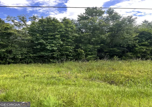 5th image of 0 Oglethorpe East Hwy, Midway, GA 31320 | MLS# 10592168