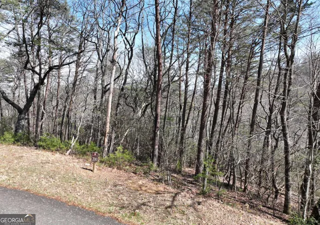 Homes for sale in Ellijay, GA | 200 Stone Cliff Dr, Ellijay, GA 30536 | MLS# 10710597