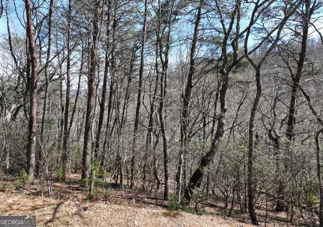 Homes for sale in Ellijay, GA | 200 Stone Cliff Dr, Ellijay, GA 30536 | MLS# 10710597