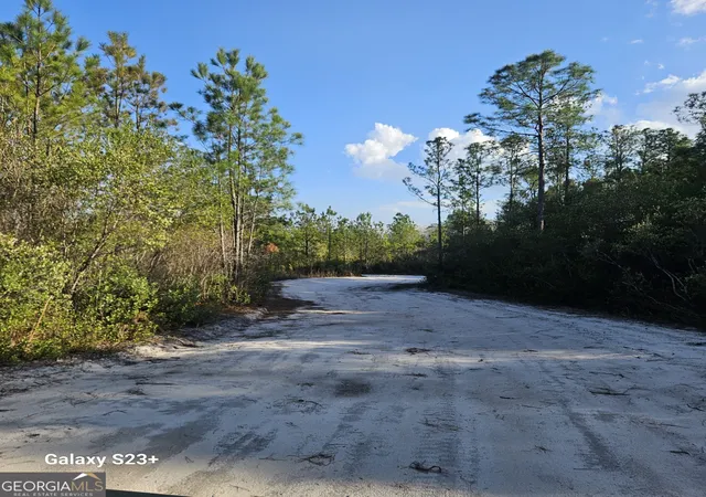 Homes for sale in Pembroke, GA | 00 Mill Branch Club Road 1e, Pembroke, GA 31321 | MLS# 10717615