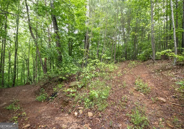 2nd image of 0 Hidden Creek Rd, Jasper, GA 30143 | MLS# 10712811