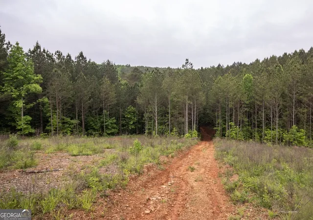 4th image of 0 Hidden Creek Rd, Jasper, GA 30143 | MLS# 10712811