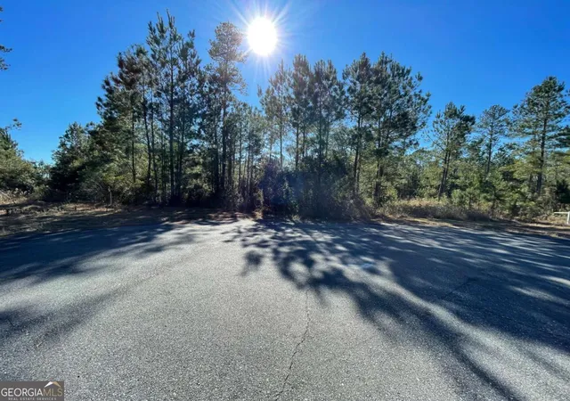Photo 4 of Land for sale at 0 Landing Trl, Waynesville, GA 31566 | MLS# 10675511 | Listing updated on 2026-07-30