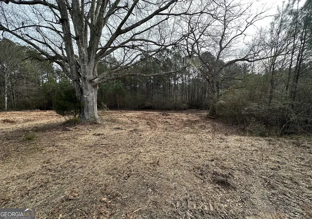 Homes for sale in Franklin, GA | 0 Victory Rd #LOT 1, Franklin, GA 30217 | MLS# 10787122