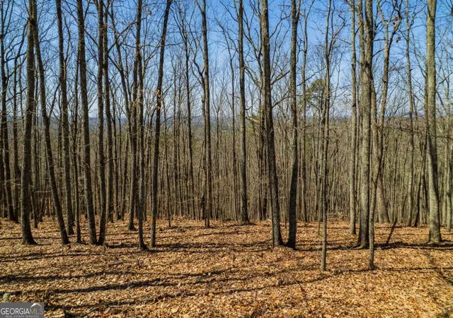 Photo 1 of Land for sale at Lot 35 Heatherwood Way, Talking Rock, GA 30175 | MLS# 10484981 | Listing updated on 2026-09-06