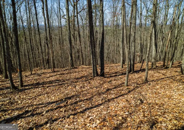 Photo 2 of Land for sale at Lot 35 Heatherwood Way, Talking Rock, GA 30175 | MLS# 10484981 | Listing updated on 2026-09-06