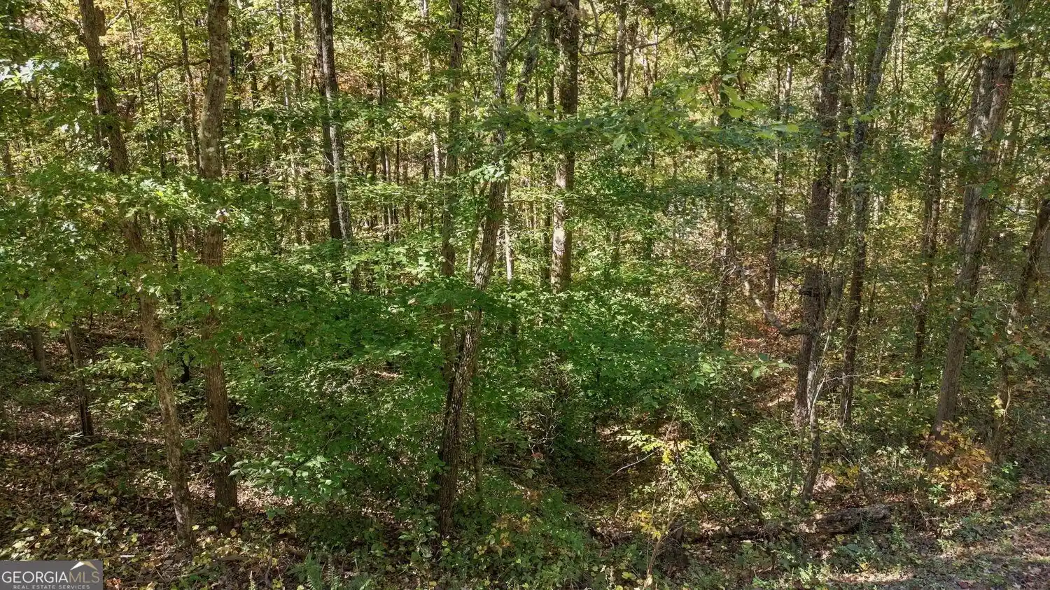 Photo 1 of Land for sale at 14 Price Ln, Dahlonega, GA 30533 | MLS# 10882304 | Listing updated on 2026-10-30
