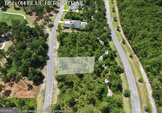 Homes for sale in Waverly, GA | Lot 14 Blue Heron Trl, Waverly, GA 31565 | MLS# 10800262