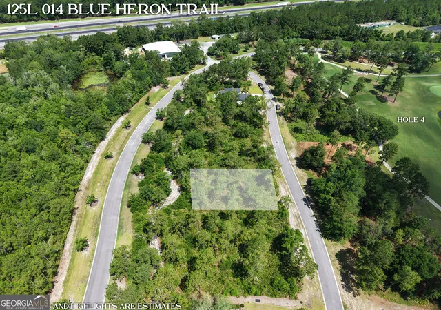 Homes for sale in Waverly, GA | Lot 14 Blue Heron Trl, Waverly, GA 31565 | MLS# 10800262
