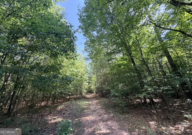 Photo 1 of Land for sale at 8 Bunch Rd, Tignall, GA 30668 | MLS# 10833268 | Listing updated on 2026-08-26