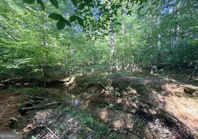 Photo 3 of Land for sale at 8 Bunch Rd, Tignall, GA 30668 | MLS# 10833268 | Listing updated on 2026-08-26