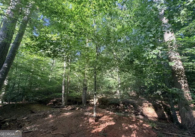 Photo 3 of Land for sale at 8 Bunch Rd, Tignall, GA 30668 | MLS# 10833268 | Listing updated on 2026-08-26