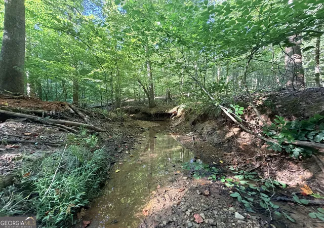Photo 4 of Land for sale at 8 Bunch Rd, Tignall, GA 30668 | MLS# 10833268 | Listing updated on 2026-08-26