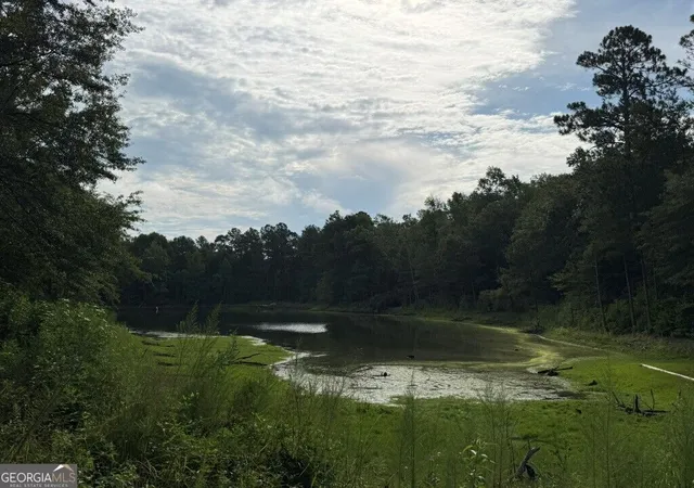 4th image of 1940 Liberty Church Rd, Hephzibah, GA 30815 | MLS# 10827462