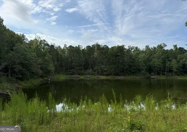 5th image of 1940 Liberty Church Rd, Hephzibah, GA 30815 | MLS# 10827462