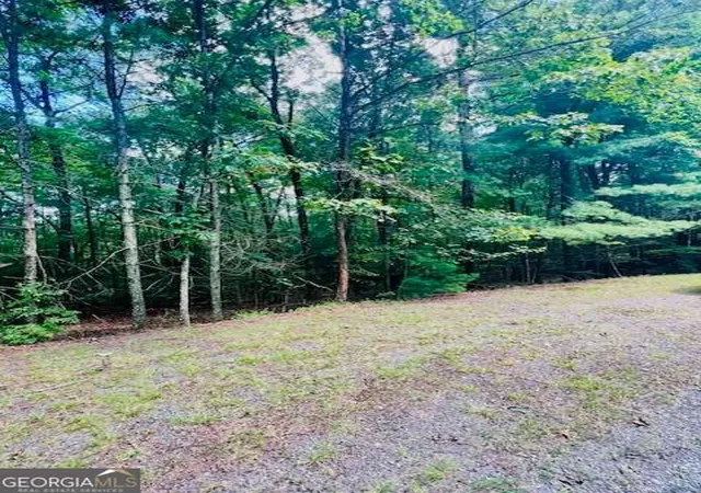 Photo 1 of Land for sale at Lot 42 Squirrel Hunting Rd, Ellijay, GA 30540 | MLS# 10585521 | Listing updated on 2026-10-26