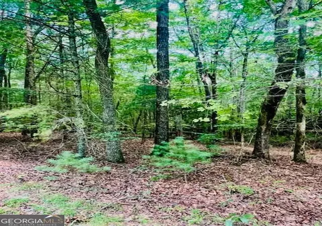 Photo 3 of Land for sale at Lot 42 Squirrel Hunting Rd, Ellijay, GA 30540 | MLS# 10585521 | Listing updated on 2026-10-26