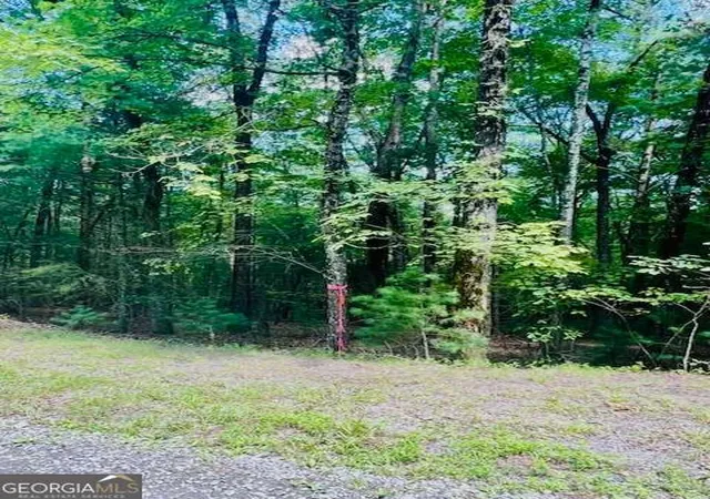 Photo 4 of Land for sale at Lot 42 Squirrel Hunting Rd, Ellijay, GA 30540 | MLS# 10585521 | Listing updated on 2026-10-26