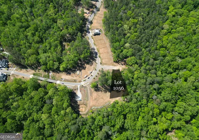 3rd image of 1011 Epple Ln, Chattahoochee Hills, GA 30268 | MLS# 10734559
