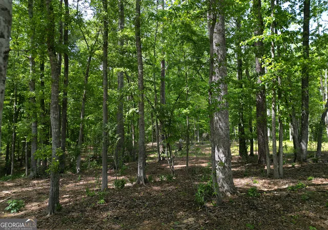 4th image of 1011 Epple Ln, Chattahoochee Hills, GA 30268 | MLS# 10734559