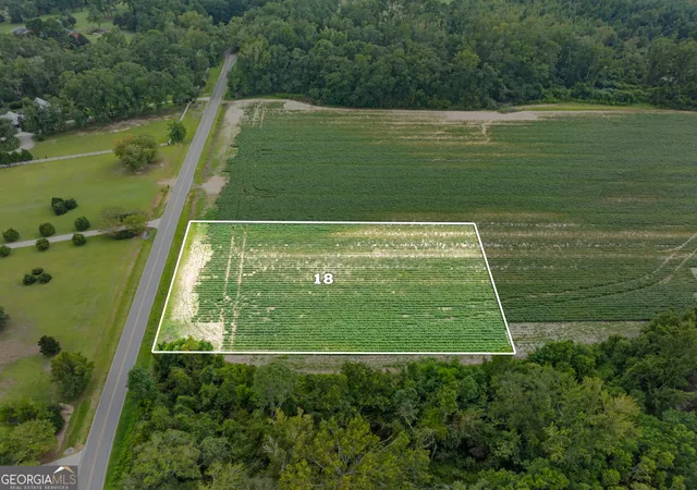 Homes for sale in Statesboro, GA | 0 Miller St Extension #LOT 18, Statesboro, GA 30458 | MLS# 10776333