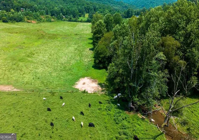 Photo 3 of Land for sale at 5120 Ac Bethabara Rd, Hayesville, NC 28904 | MLS# 10816057 | Listing updated on 2026-08-13