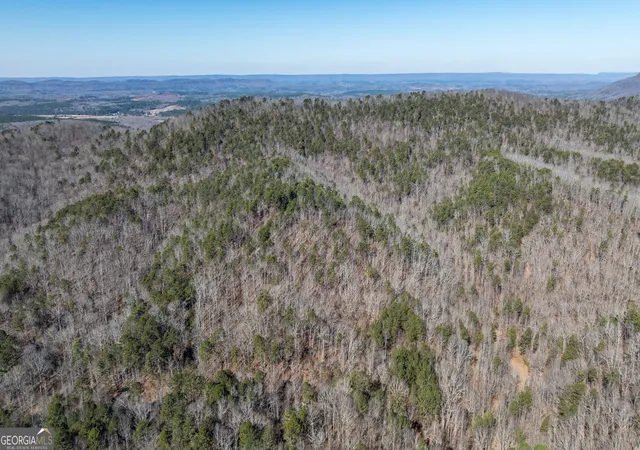 41st image of 2077 Big Texas Valley, Rome, GA 30165 | MLS# 10681866
